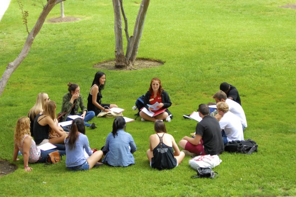 Espace de verdure en extérieur, un groupe de gens parlent en cercle